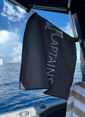 The Shammy Towel